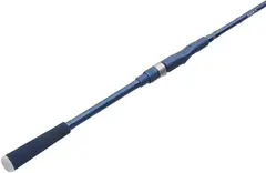Aava LEKA Spinning Rod 6'9" 20-90g Haspelstang