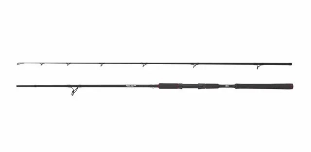 Abu Garcia BEAST Pike 8' 40-90g Spinning 2-delt 