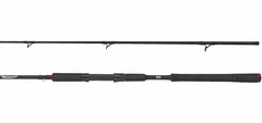 Abu Garcia BEAST Pike Spinning 2-delt