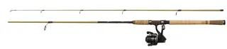 Abu Garcia Phazer Pro Salmon Combo 2-delt haspelsett 10&#39;6&quot; 20-50g
