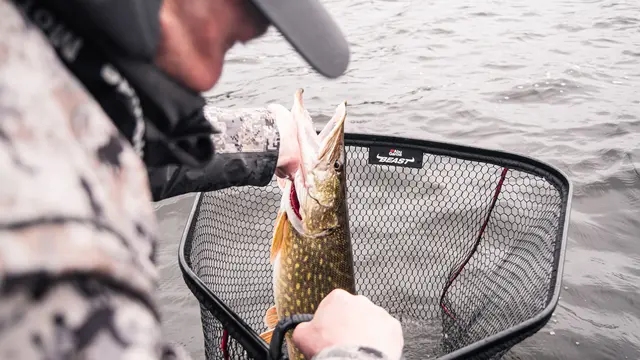 Abu Garcia Beast Net Foldable M 70x60cm Foldbar sammenleggbar håv med gumminett 