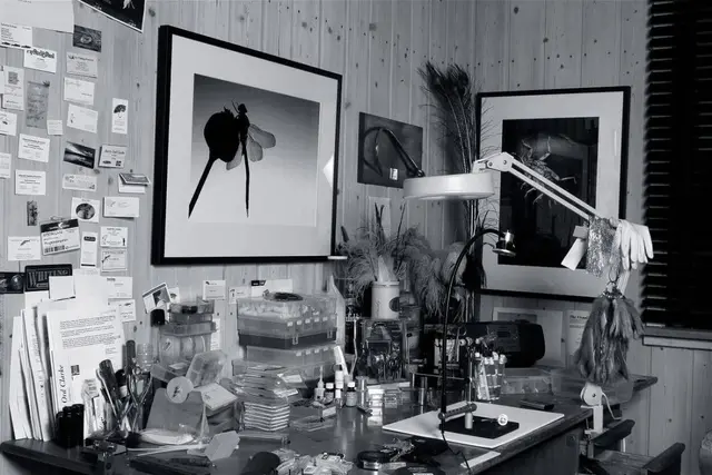 Flytying for beginners Barry Ord Clarke Lär dig de grundläggande stegen 