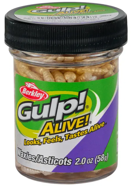 Berkley Gulp Alive "Waxies" maggot White 