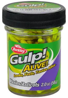 Berkley Gulp Alive &quot;Waxies&quot; maggot Chartreuse