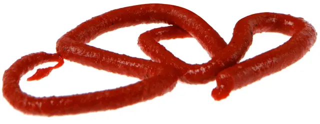 Berkley Gulp Meitemark 10cm Rød 