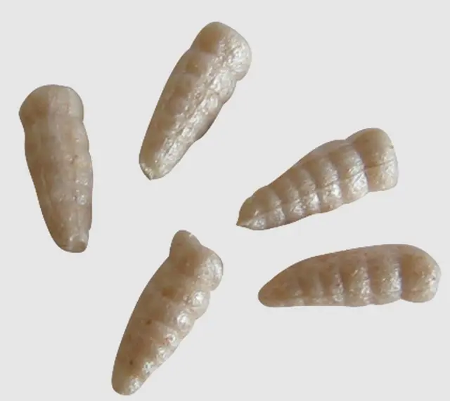 Berkley Gulp Alive "Waxies" maggot White 