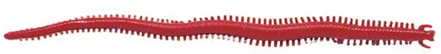 Berkley Saltwater Sandworm Bloody 24pk 5cm 