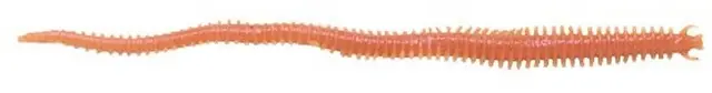 Berkley Saltwater Sandworm Natural 24pk 5cm 