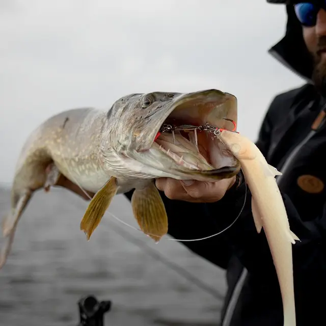 BKK BB Trigger-21 (Stinger rig) #1/0 Stinger rig 