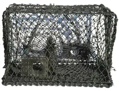 Krabba- och hummerteinor - hopfällbara Teinor