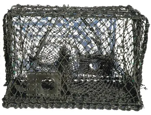 Krabba- och hummerteinor - hopfällbara Teinor 