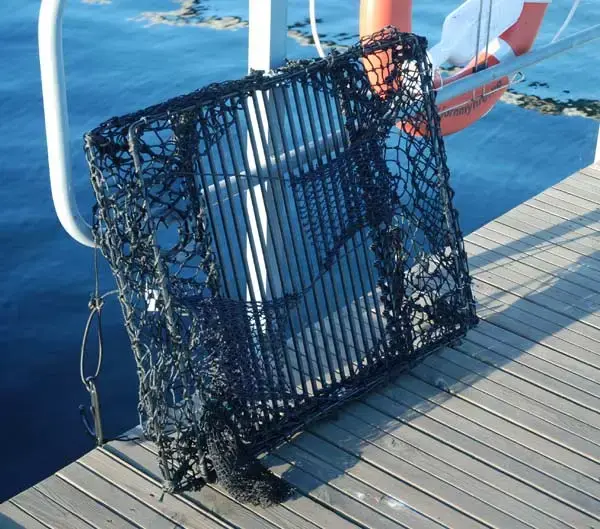 Krabba- och hummerteinor - hopfällbara Teinor 