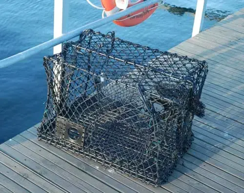 Krabba- och hummerteinor - hopfällbara Teinor 