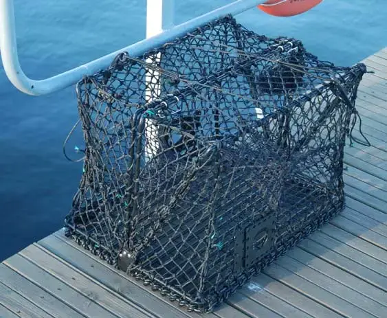 Krabba- och hummerteinor - hopfällbara Teinor 