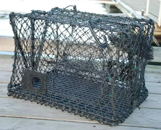 Krabba- och hummerteinor - hopfällbara Teinor 