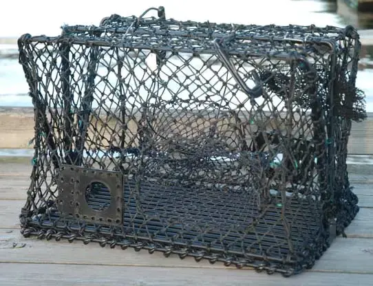 Krabba- och hummerteinor - hopfällbara Teinor 