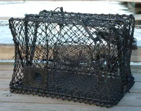 Krabba- och hummerteinor - hopfällbara Teinor 