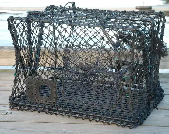 Krabba- och hummerteinor - hopfällbara Teinor 