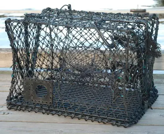 Krabba- och hummerteinor - hopfällbara Teinor 