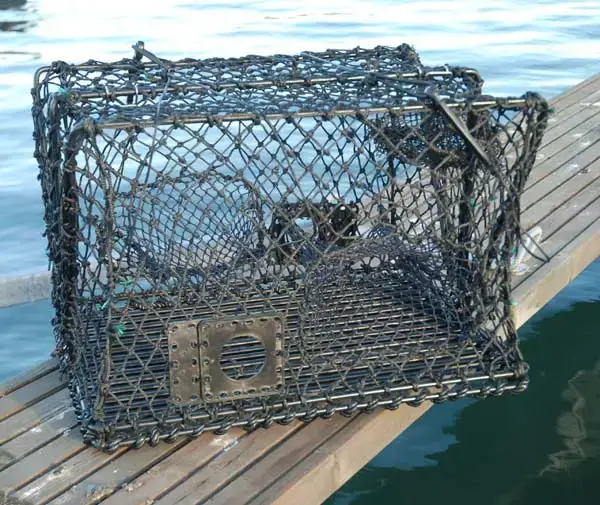 Krabba- och hummerteinor - hopfällbara Teinor 