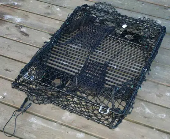 Krabba- och hummerteinor - hopfällbara Teinor 