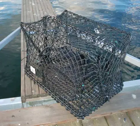 Krabba- och hummerteinor - hopfällbara Teinor 