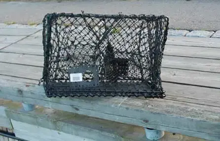 Krabba- och hummerteinor - hopfällbara Teinor 