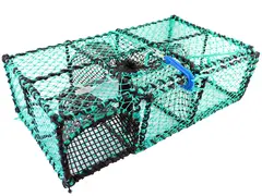 CALKrabbstenar med vila kammare För kräftor