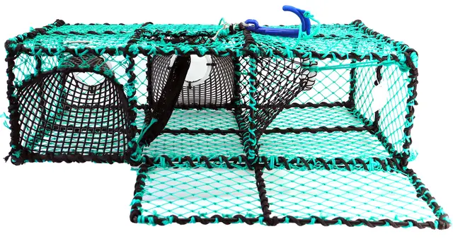 CALKrabbstenar med vila kammare För kräftor 