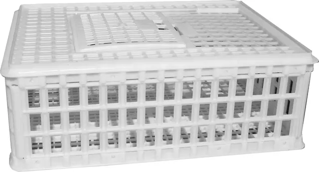 Plaststeina 75x55x26cm Plaststeina 