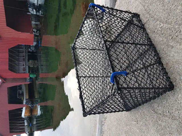 Sanketein ????stor 75x58x47cm Teina 