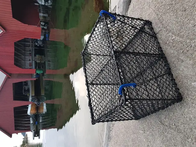 Sanketein ????stor 75x58x47cm Teina 