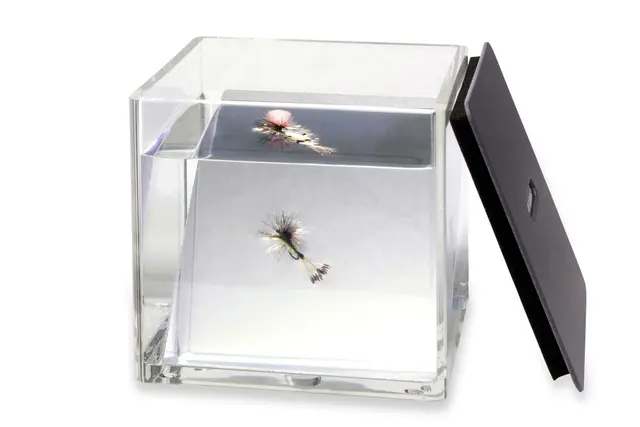 C&F Design Fish Eye Se dina flugor ur fiskens synvinkel 