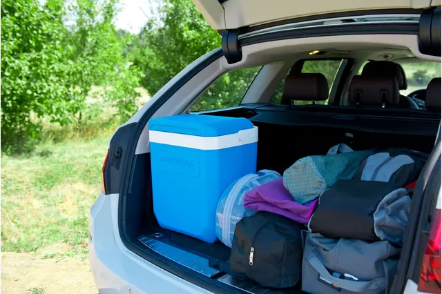 Campingaz Icetime Plus 26L Traditionell, robust kylbox 