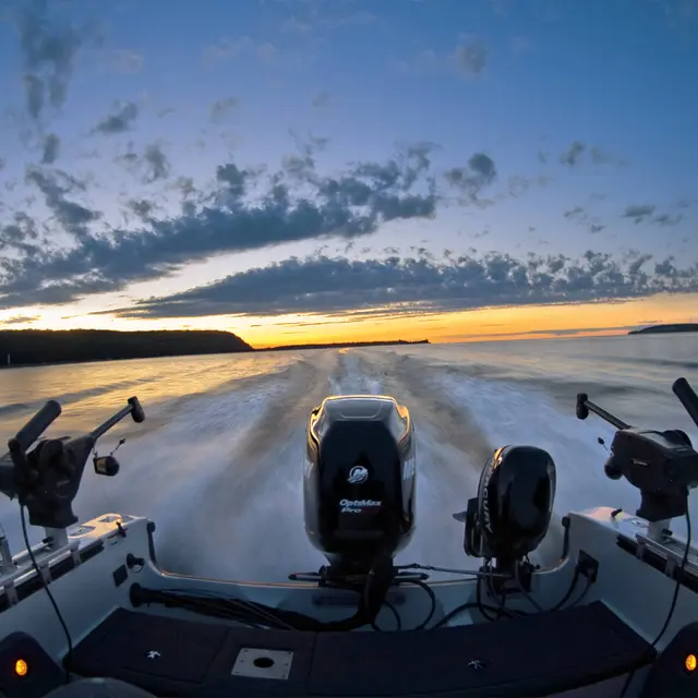 Cannon Magnum 5 ST E-Metric Elektrisk dyprigg 