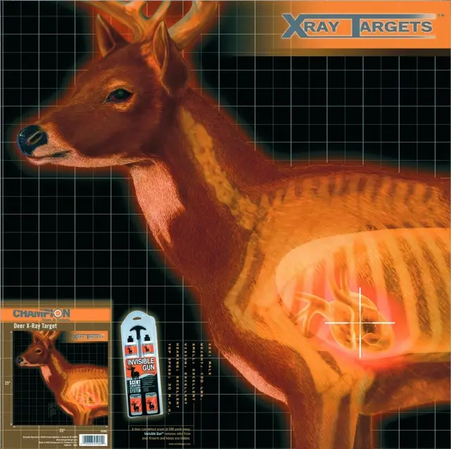 Champion X-ray targets Hjort 6-pack 