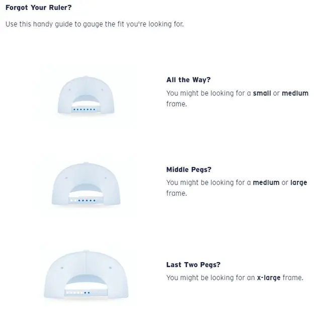 Costa Del Mar Paunch Tortoise Gray 580G 