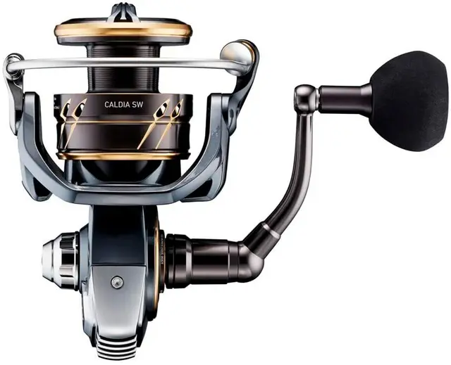 Daiwa Caldia SW 4000D-C XH 