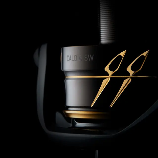 Daiwa Caldia SW 4000D-C XH 