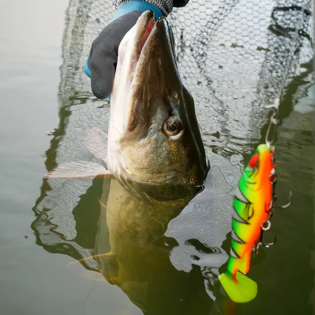 Daiwa Prorex Lazy Shad 16cm Natural Perch 