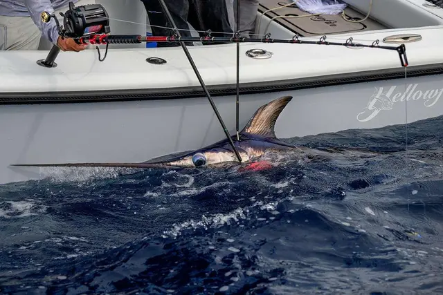 Daiwa Tanacom 1200 Sterk og lett elektrisk havfiskesnelle 