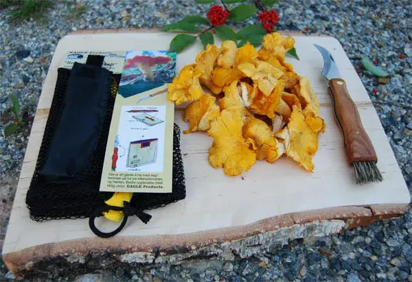 Örn svamp-pickuppsättning Skarp vikbar kniv w/pensel samt nät 