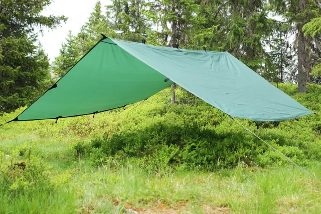 Eagle Tarp/Gapahuk - Grønn Med tau og plugger 