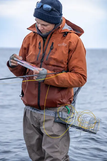 Easy Shrimp Eyes Line Master Black/Grey Innfellbar linekurv 