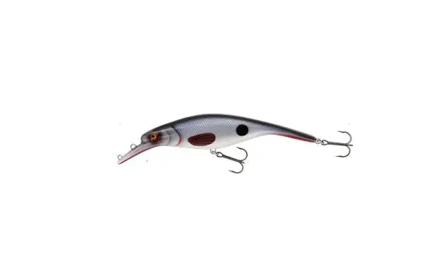 Westin Platypus Stamped Roach Low Floating - 16cm - 56g 