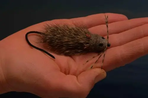 Tube Mouse-Rat - Big FishMadMan 