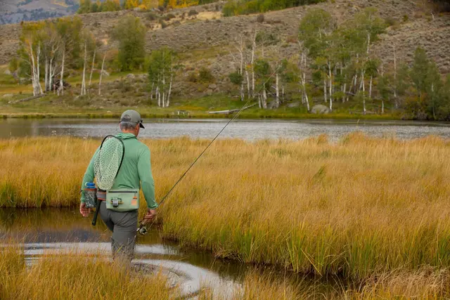 Fishpond South Fork Wader Belt Funktionellt vadarbälte 