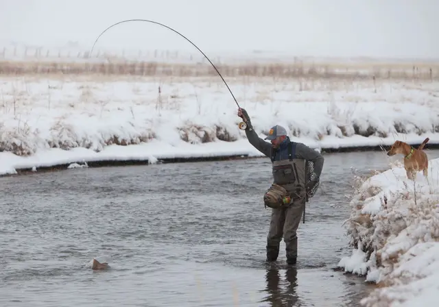 Fishpond Waterdance Guide Pack Driftwood Mycket praktisk midjeväska 