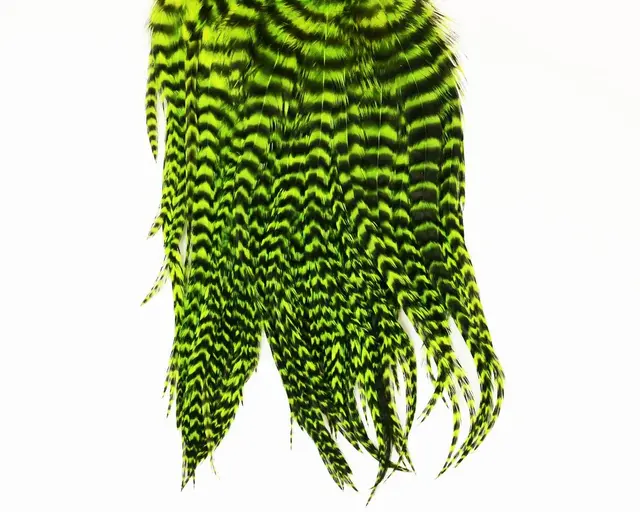 Whiting Bugger Pack Grizzly Fl Green Ch Lange fjær med naturlig tapering 
