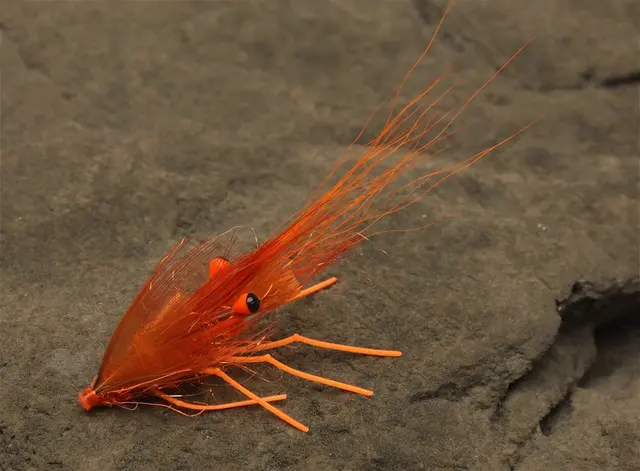 Easy Shrimp Legs 2.0 Super Fl. Orange 6st 